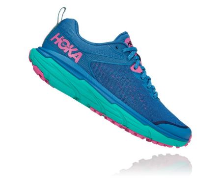 Hoka One One Challenger ATR 6 - Pantofi Ortopedici Barbati Albastri | RO-PB6lHc3